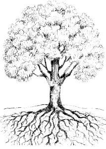 TTF treetransparent